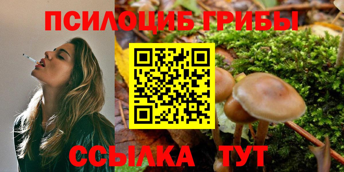 Галлюциногенные грибы Psilocybine cubensis Домодедово