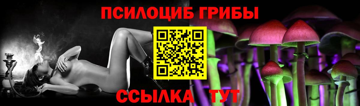 Домодедово  Псилоцибиновые грибы MAGIC MUSHROOMS  Вход с VPN  Галлюциногенные грибы Cubensis 
